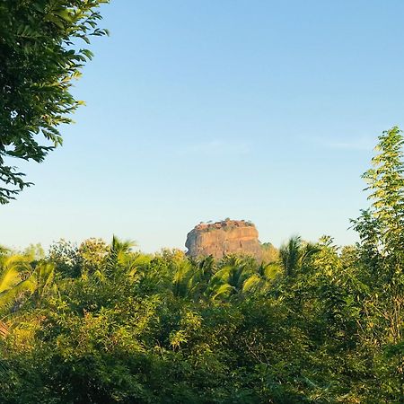 Chena Huts Eco Resort Sigiriya Exterior foto