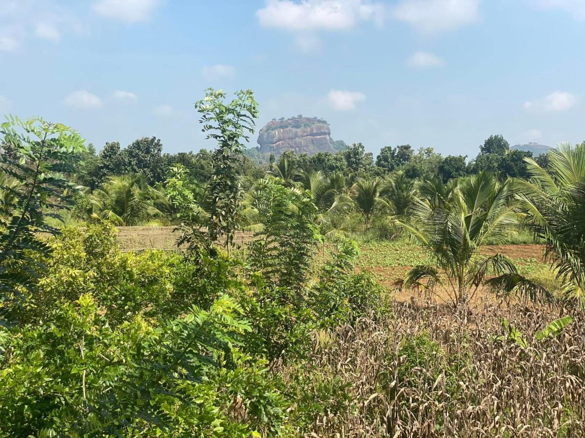 Chena Huts Eco Resort Sigiriya Exterior foto