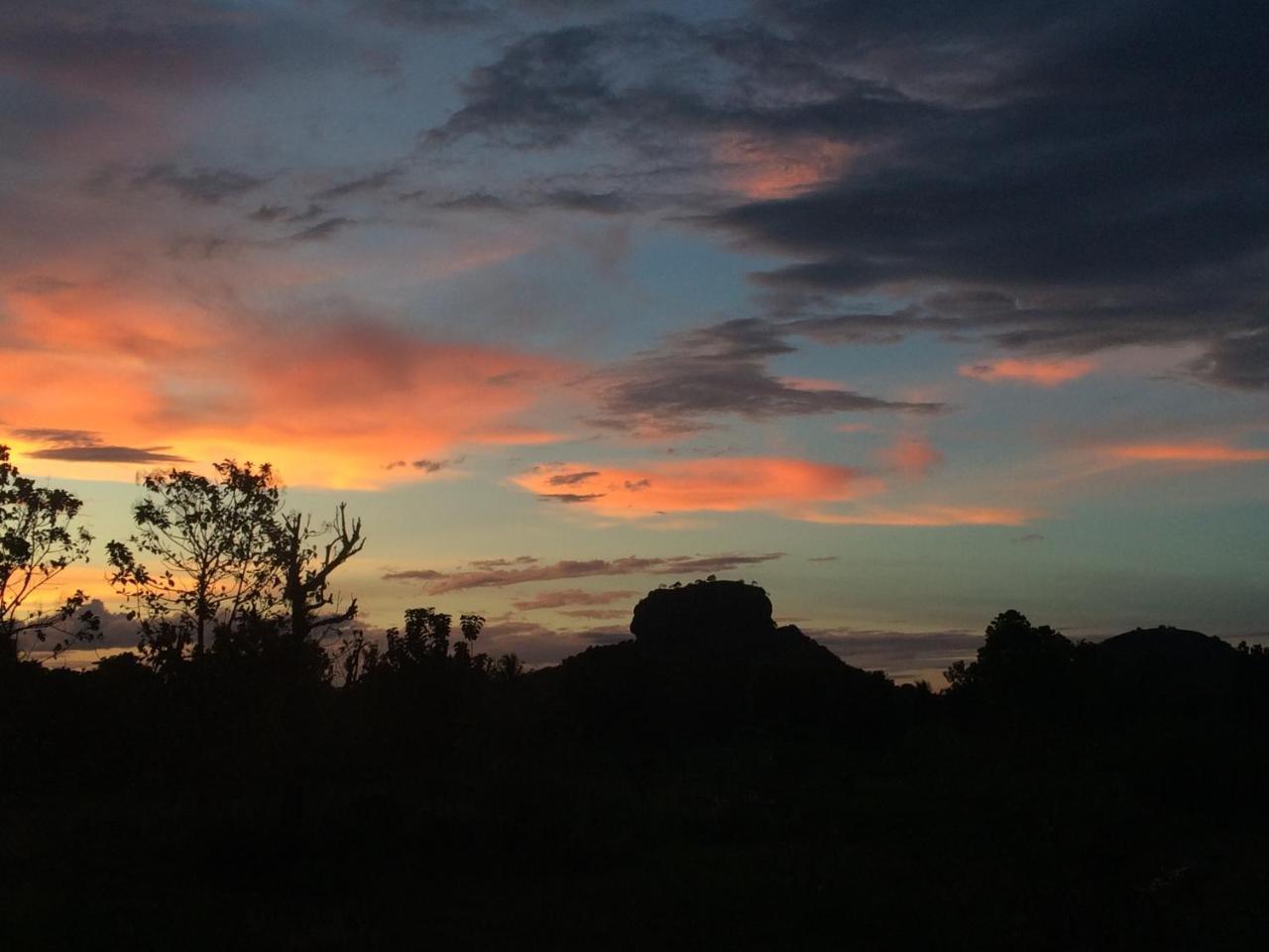 Chena Huts Eco Resort Sigiriya Exterior foto